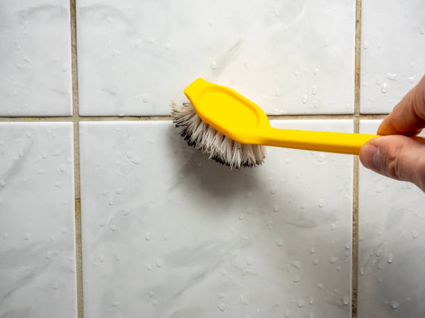 Best Basement Mold Remediation in Frazier Park, CA